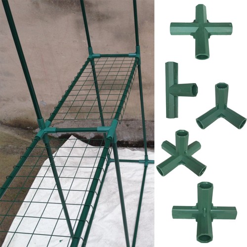 Gartenpflanze markisengelenke - gartenpflanze,