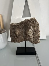 Driftwood Skulptur Aus Holz Fundstück Unikat mit Holzsockel