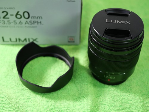 Panasonic lumix vario - g,