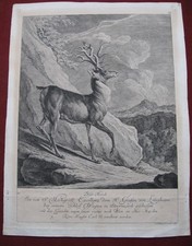 Johann Elias Ridinger