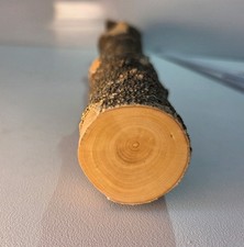 1 Stamm Drechselholz Buchsbaum