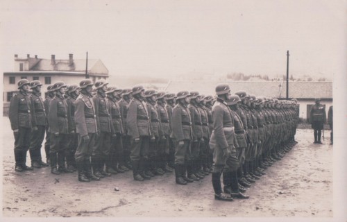 Foto vereidigung rekruten - vereidigung,