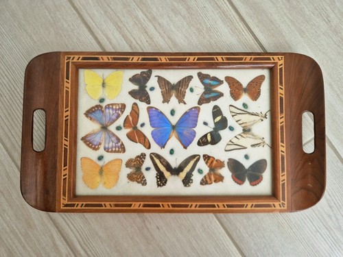 Tablett schmetterlinge art - tablett,