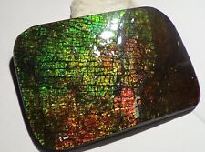 400 Carat.!! I Sammler Ammolite /Drachenschuppe Grün-Golden-Orange   + VIDEO