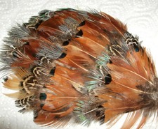 Rarer Haarschmuck Fascinator aus Federn in Brauntönen - Brigitte von Boch