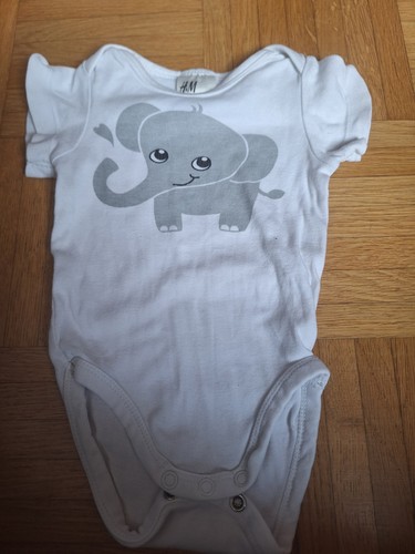 Body elefant - body,