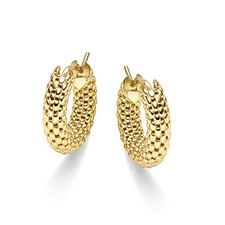 Ohrringe Goldcreolen