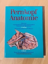 Pernkopf * Atlas Anatomie des Menschen * 3. Auflage * NUR Band 2 | sehr gut