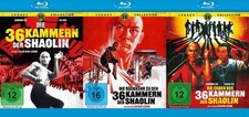 Die 36 Kammern der Shaolin