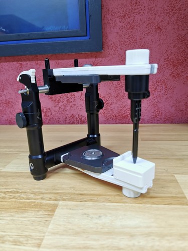 Dentaler amann girrbach artex - amann,