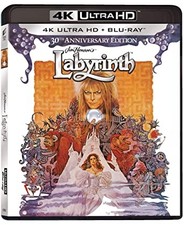 New Labyrinth (30th