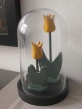 Glocke Glas Glasglocke Glaskuppel Glashaube Glassturz Deko 2 Holztulpen massiv