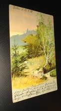 Alte AK Künstlerkarte Wiese