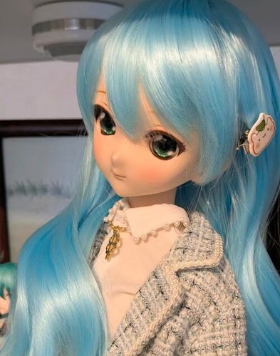 Dream choice dollfie - dollfie,