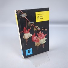 Blumen Im Haus Hanni Stein