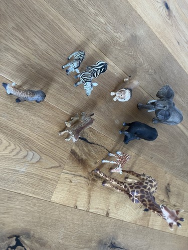 Schleichtiere wildtiere - schleichtiere,