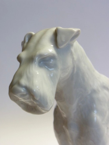 Airedale terrier meissen - terrier,