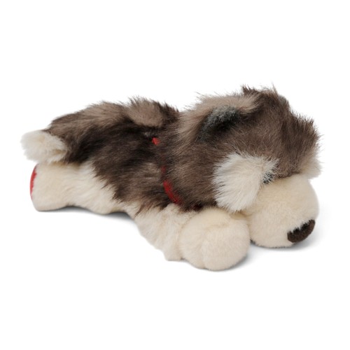 Sigikid husky hund - hund, red
