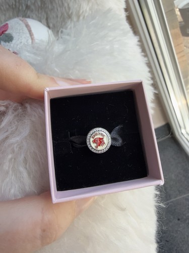Disneyland paris pandora charm - disneyland,