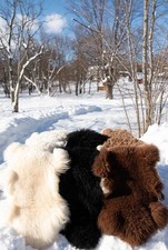 Echte Schaffelle | Viele