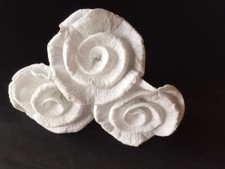 50 x kleine Krepprosen weiß