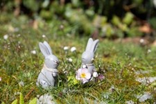 Osterhase Hase grau mit
