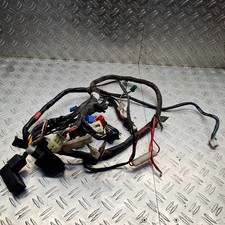 Kabelbaum TGB R 50 Bullet Pegasus R50X Bj.05-10 #28448