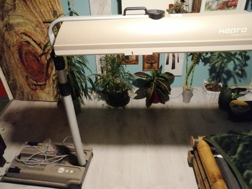 Solarium hapro mobile sun - hapro,