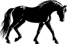 Aufkleber Pferd