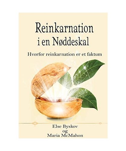 Reinkarnation nøddeskal - i,