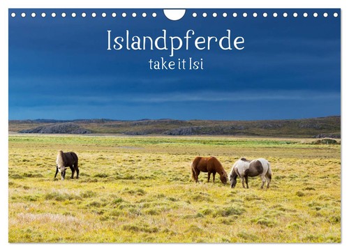 Islandpferde take isi - it,