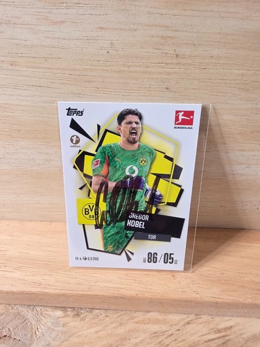 Gregor kobel dortmund - kobel,