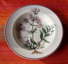 V&B BOTANICA  Suppenteller