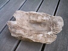 Schwemmholz Treibholz driftwood Schale Skulptur Lampe Floristik Terrarium Deko