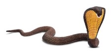 Safari ltd 272629 kobra - ,