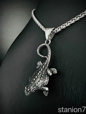 Eidechse Gecko Welt Tier