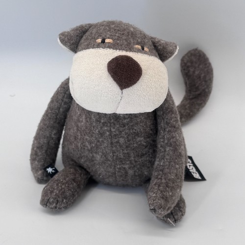 Katze kater pilo plemplem - katze,