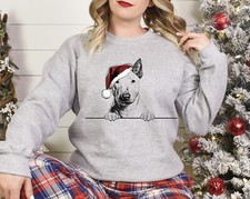 Weihnachtspullover Bullterrier