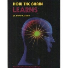 How the brain - the, a