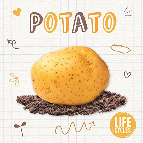 Potato new kirsty holmes - new,