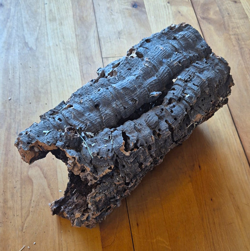 Korkröhre aus korkrinde - korkröhre,