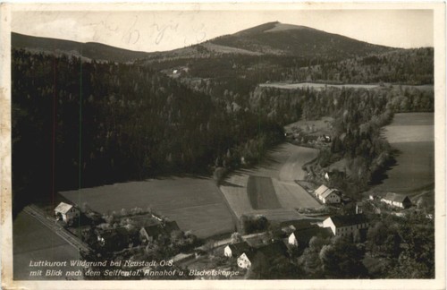 Wildgrund bei neustadt - bei,