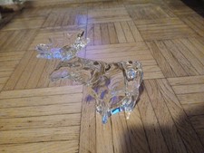 Wunderschöner Hirsch