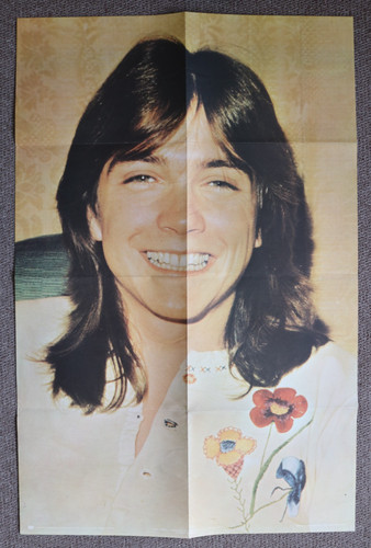 David cassidy 1972 pace - cassidy,,