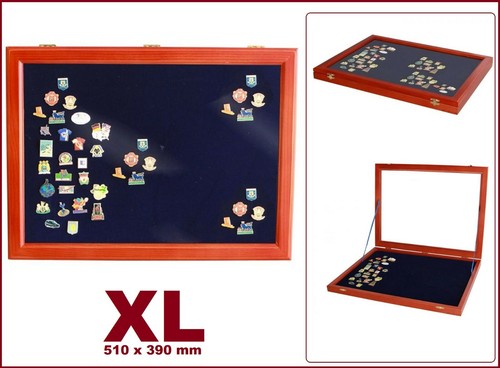 SAFE-5998-Holzvitrinen-Vitrine