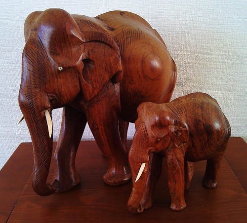 Elefant mit kind - elefant,