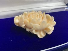 Geschnitzte korallen brosche