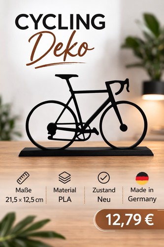 Rennrad gravel bike cycling - rennrad,