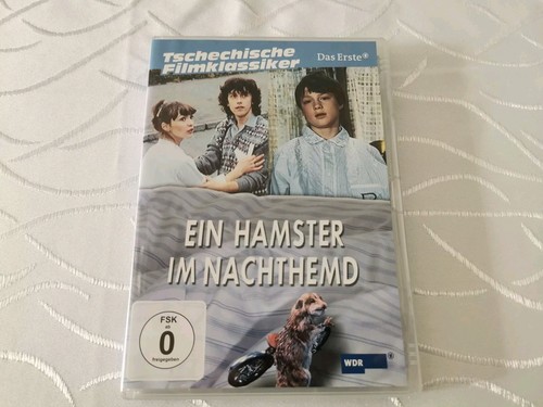 Ein hamster nachthemd - hamster, im