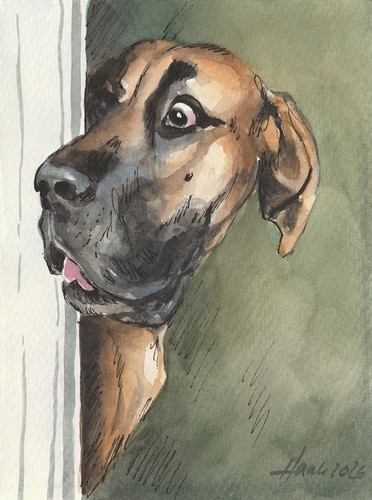 Original aquarell - original,